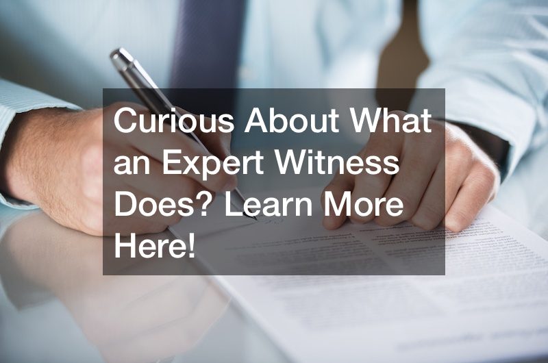 Curious About What an Expert Witness Does? Learn More Here!