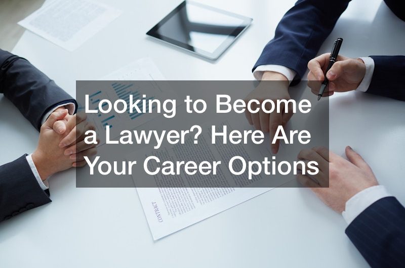Looking to Become a Lawyer? Here Are Your Career Options