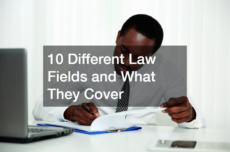 10 Different Law Fields and What They Cover